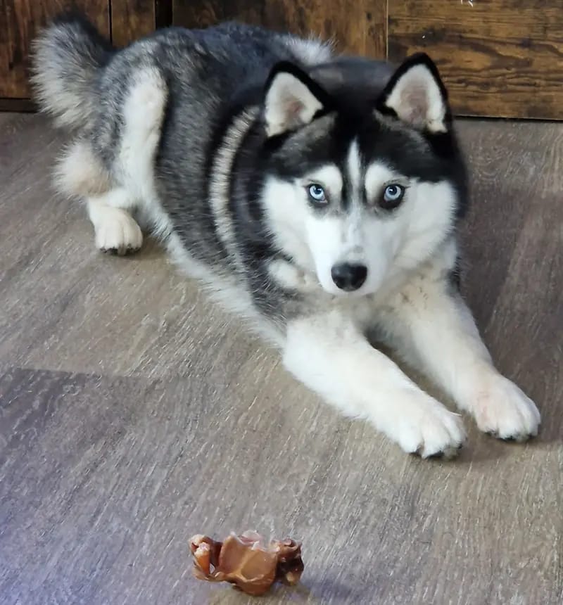 Lara Pomsky Tyler gallery image 2